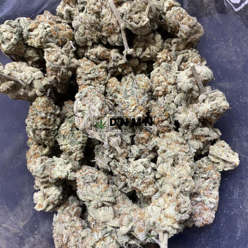 Gorilla Bomb - Cheap Weed Canada - Dispensary Near Me Now