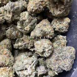Purple Champagne - Online Dispensary Canada - Dispensary Near Me Now