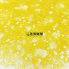 Tuna Nukes Shatter - Buy Weed Online - Dispensary Near Me Now