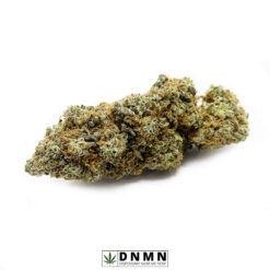 Amnesia Haze - Buy Weed Online - Dispensary Near Me Now
