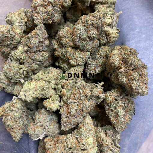 Amnesia Haze - Cheap Weed Canada - Dispensary Near Me Now