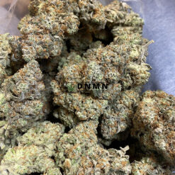 Amnesia Haze - Online Dispensary Canada - Dispensary Near Me Now
