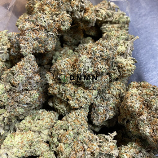 Amnesia Haze - Online Dispensary Canada - Dispensary Near Me Now