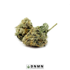 Chocolope - Buy Weed Online - Dispensary Near Me Now