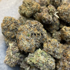 Purple Mazar - Online Dispensary Canada - Dispensary Near Me Now