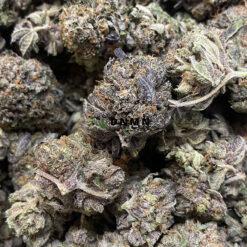 Tom Ford Bubba Kush - Cheap Weed Canada - Dispensary Near Me Now