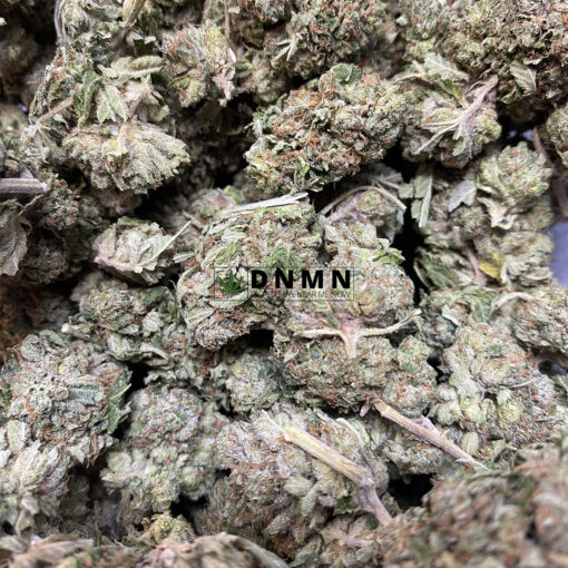 King's Kush - Cheap Weed Canada - Dispensary Near Me Now