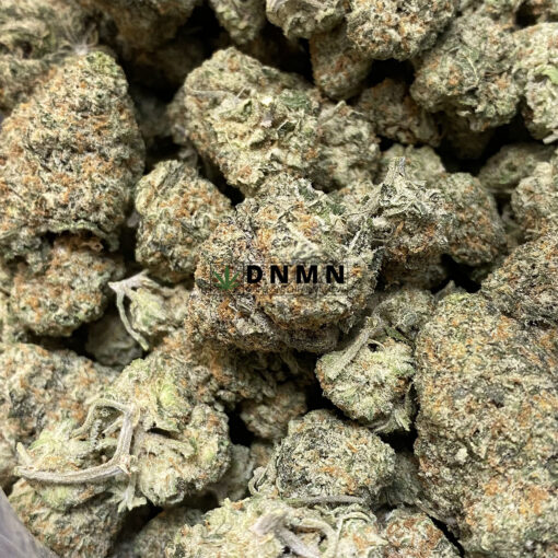 Sour Puss - Online Dispensary Canada - Dispensary Near Me Now