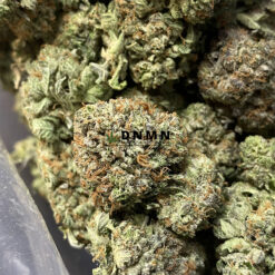 Tahoe Alien - Online Dispensary Canada - Dispensary Near Me Now