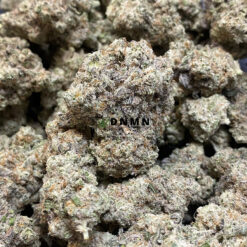 Purple Gelato - Online Dispensary Canada - Dispensary Near Me Now