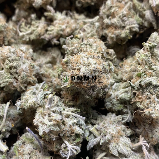 Purple Mendocino - Online Dispensary Canada - Dispensary Near Me Now
