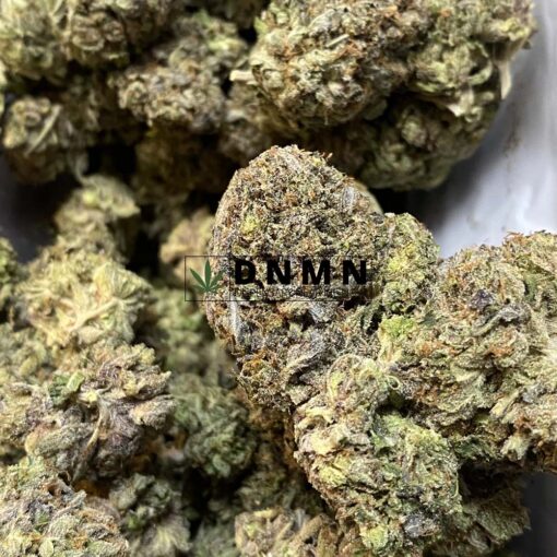 Black Rhino OG Kush - Close Bud View - Dispensary Near Me