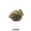 Cat Piss - Buy Weed Online - Dispensary Near Me Now