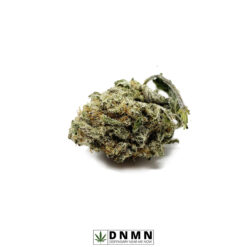 Cat Piss - Buy Weed Online - Dispensary Near Me Now