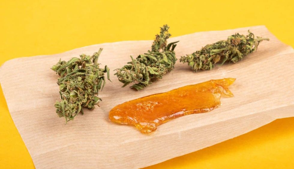 Shatter weed is one of most popular cannabis concentrates in Canada. Find out how this extract will make you feel, how to use it & buy it.