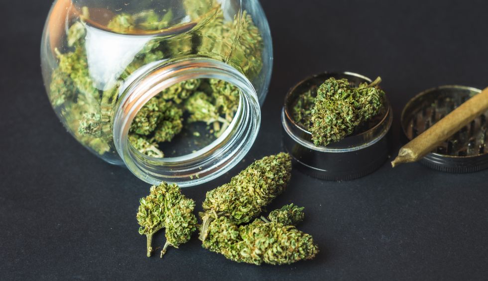 If you’re looking for a weed store online, this is exactly what you need. Here’s everything you need to know about picking right weed store.