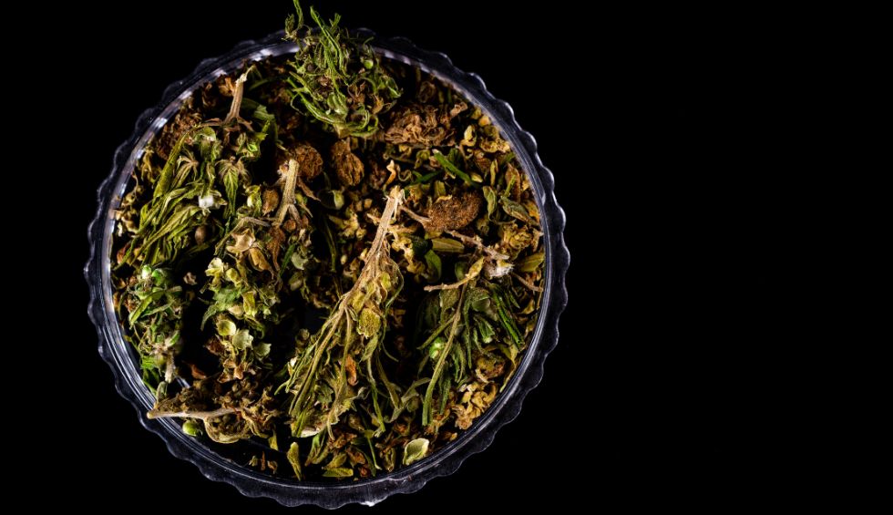 Looking ahead to a calming and relaxing evening after work or an unforgettable weekend? Discover the Tom Ford strain and what it's capable of. 