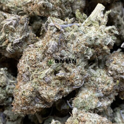 Skunk Berry - Cheap Weed Canada - Dispensary Near Me Now