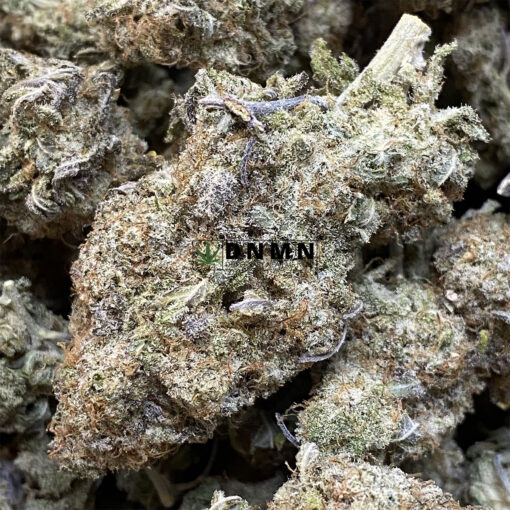 Skunk Berry - Cheap Weed Canada - Dispensary Near Me Now