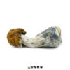 Texas Yellow Cap Magic Mushroom - Buy Weed Online - Dispensary Near Me Now